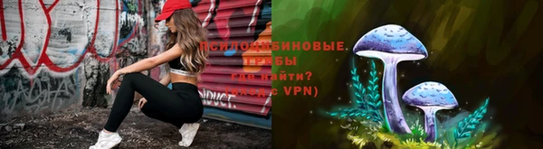 spice Елабуга