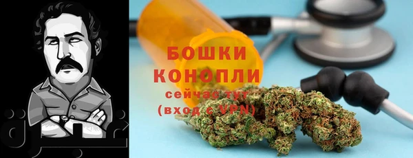 прущие крисы Заводоуковск