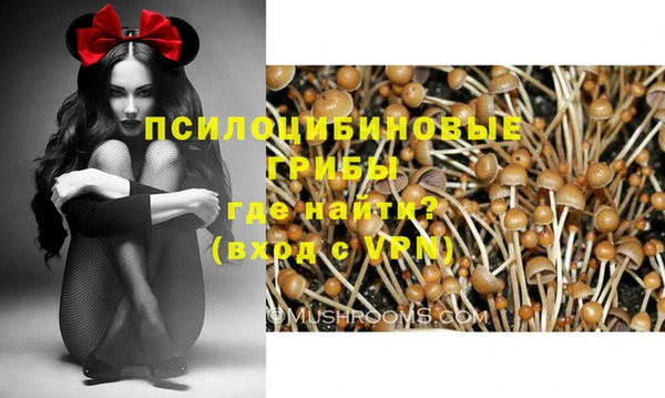 прущие крисы Заводоуковск