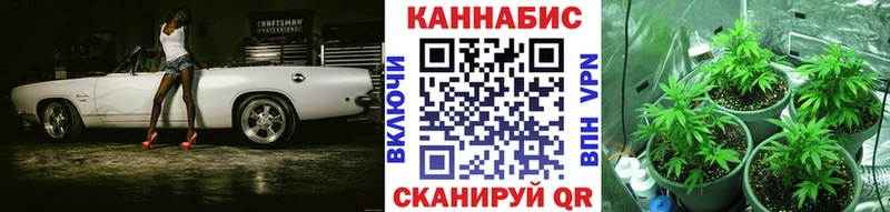 Каннабис White Widow  мега ссылки  Судогда  купить  